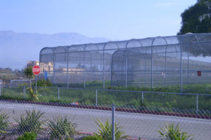 Salinas Greenhouse Fencing